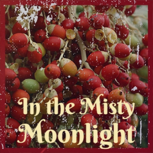 I Loved You Better Than You Knew