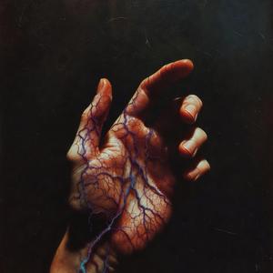 Veins
