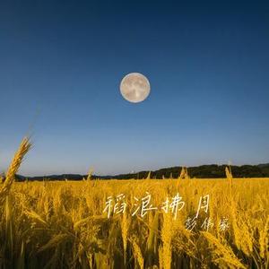 稻浪拂月