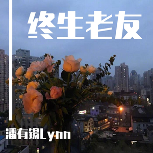 终生老友【粤】