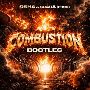 Combustion (suÁra bootleg)