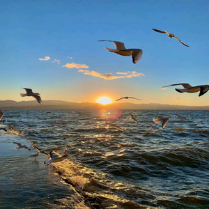 海的那边是什么 (Mix)