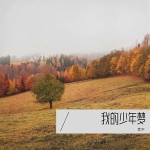 我的少年梦
