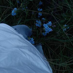 不是所有人都像你一样