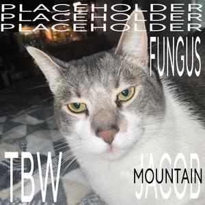 PLACEHOLDER (feat. Death-Is-Well & Jacob Mountain) (Remix)