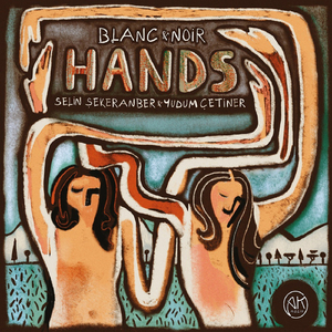Sonata for two pianos in D Major K. 448 (375):Allegro con spirito