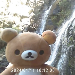 離開你我開始獨自生活