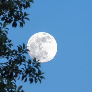 逐星而行