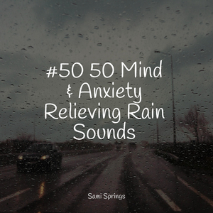 Forest Sounds (Birds)