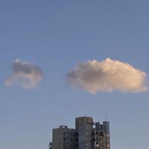 后来我们还是长大了