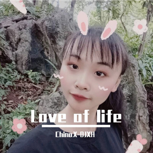 大笨象会跳舞（DJ版）