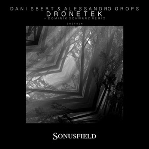 Dronetek (Dominik Schwarz Remix)