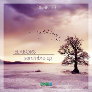 Carib (Original Mix)