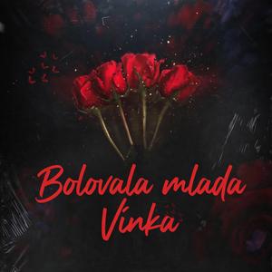 Bolovala mlada Vinka