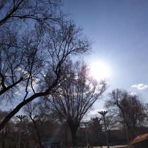 星期天清晨醒来时看见你