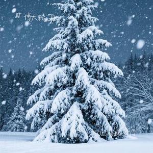 2025年的第一场雪