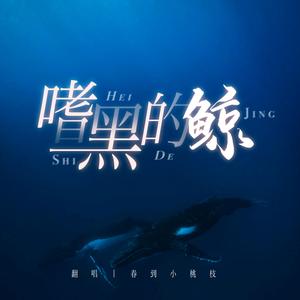 嗜黑的鲸