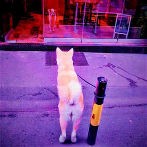 Četvrti sprat, druga vrata levo