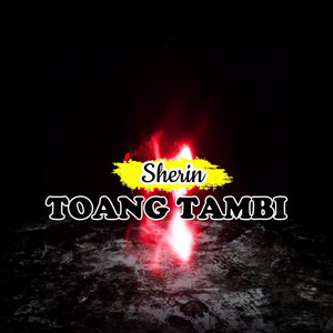 Toang Tambi