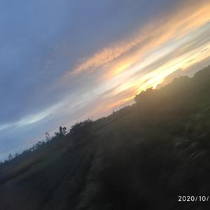 喜欢（翻自 张悬）