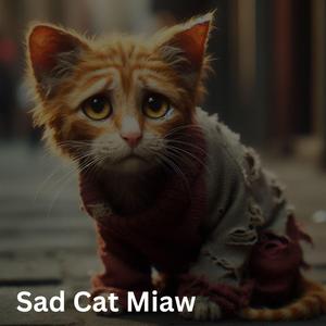Sad Cat Miaw