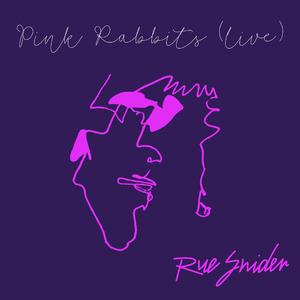 Pink Rabbits (Live at Pete's Candy Store, Brooklyn, NY 5/25/19)