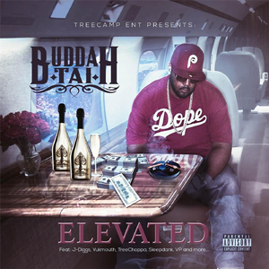 Doin' Well (feat. Yukmouth, TreeChoppa & Sleepdank)