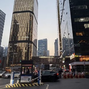 糖霜的暗号