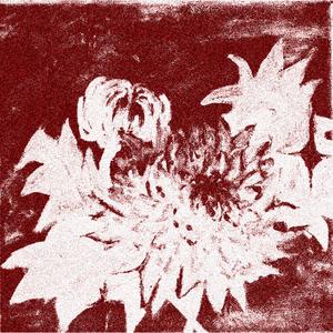 Chrysanthèmes (feat. 2elv)