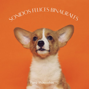 Disfrutando De Las Colas