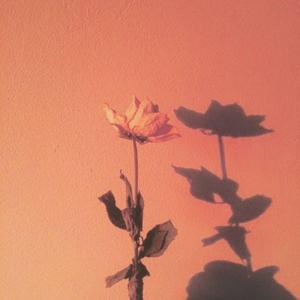 i can't fight this (feat. Ivri)