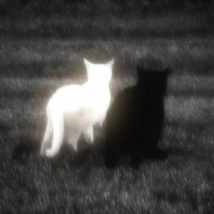 Everything is romantic (Slowed)