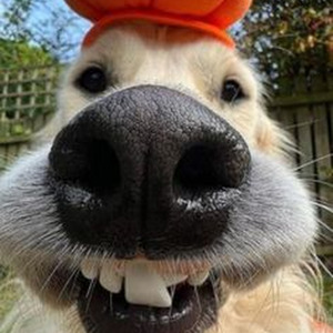 Who U Rollin' With (slowed)