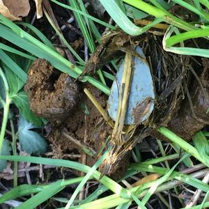 Kindred Spirits (Feat) Kam Houff