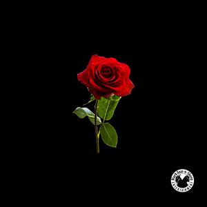 Luv U, Babe (feat. Majay the Boss & Pieper Beats)