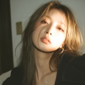 コンクリートの壁 (1)