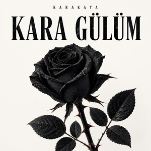 Kara Gülüm