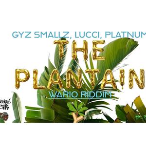 Plantain (feat. Gyz Smallz, Lucci & Plantum)