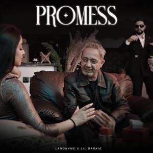 Promess (darkie)