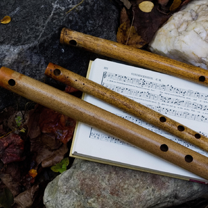 Condescension (The Southern Harmony)