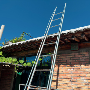 油菜花开的时候