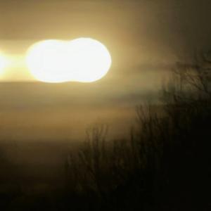 Get Wit Us (DMV Flow)