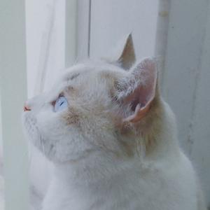 excuse（Prod.by.Young.Loui$）