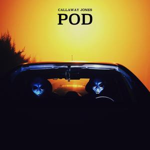 Pod