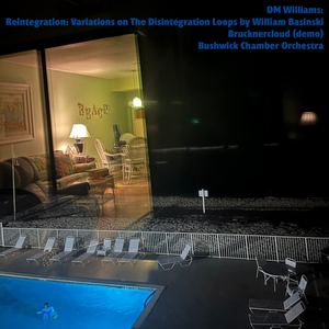 Reintegration Loops: Variations on The Disintegration Loops by William Basinski