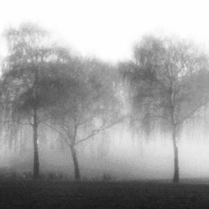 我的喜欢很直白