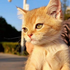 长大世界的脆弱