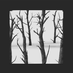 "天亮就好了"Lofi&Boombap Type Beat