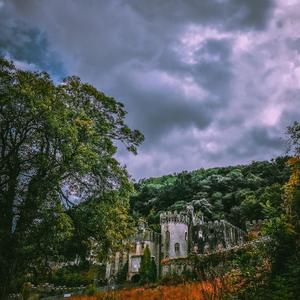 Flight of the Eagles