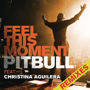 Feel This Moment (Kassiano Radio Mix)